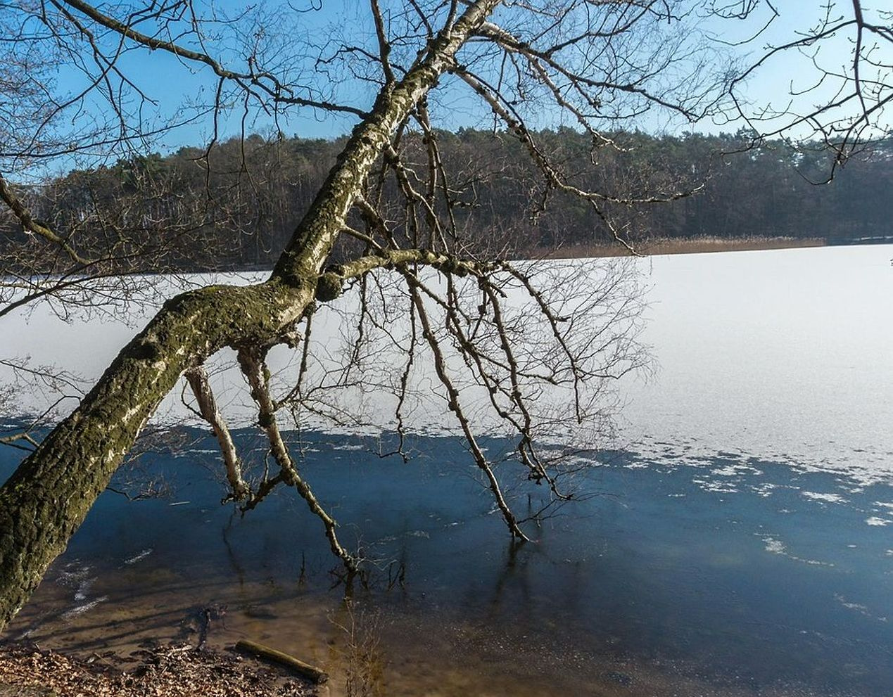 Guía leyendo reportes de espesor de hielo junto a la ventana
