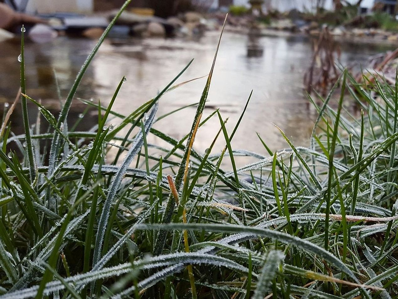 Un arroyo poco profundo corriendo entre piedras pálidas en invierno